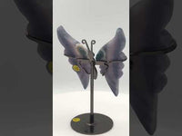Fluorite Butterfly Wings & Stand #4