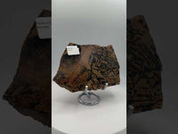 Nevada Picture Jasper Slab - Old Stock