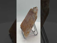 8th Vein Ocean Jasper Slab #66