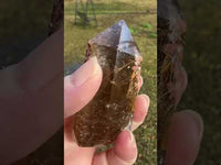 Gold Rutilated Quartz Point #5