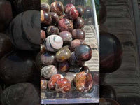 Petrified Wood Tumbles