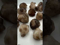 Natural Panda Agate 1lb Bag #2