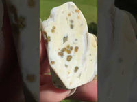 8th Vein Ocean Jasper Polished Free Form #26