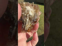 Natural Amber Calcite Raw Specimen UV Reactive #17