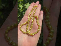 Yellow Freshwater Pearl Strand #7