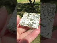 Ocean Jasper Free-form #2