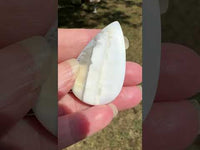 Owyhee Blue Opal Cabochon #8