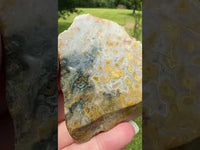 8th Vein Ocean Jasper Slab #69