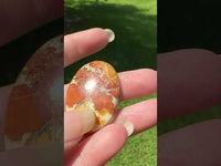 Maligano Jasper Cabochon #4