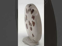 Scenic Dendritic Agate Cabochon #5