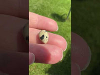 Dalmatian Jasper 12x8mm Pearshape 3.15ct