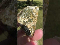 Ocean Jasper Free-form #17