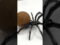 Spider with Jasper Sphere
