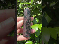 Garnet & Astrophyllite Tower #3