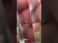 Natural Quartz Double Terminated Wand Point #3