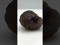 Panda Agate aka Truffle Chalcedony #7