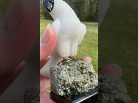 Cockatoo Crystal Carving