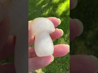 Colorless Fluorite Mushroom Carving #16