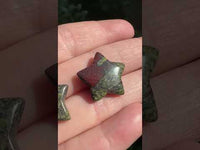 Dragon Blood Jasper Star Pair