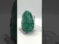 Polished Malachite Freeform Zaire, Africa #8