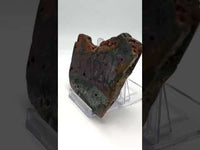 8th Vein Ocean Jasper Slab #59