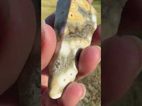 8th Vein Ocean Jasper Polished Free Form #13