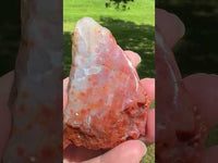 8th Vein Ocean Jasper Slab #121