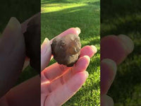 Panda Agate aka Truffle Chalcedony #6