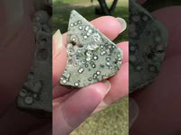 Ocean Jasper Free-form #5