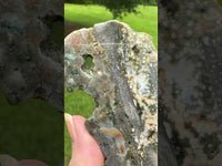 8th Vein Ocean Jasper Slab #31