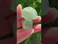 Fluorite Mushroom Carving #20