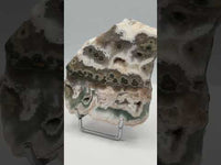 8th Vein Ocean Jasper Slab #62