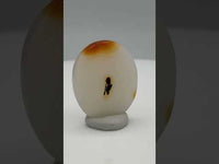 Designer Dendritic Agate Cabochon #10