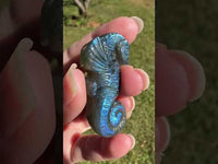 Carved Labradorite Seahorse with Case #2