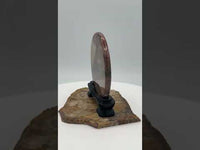 Natural Picture Jasper Slab with Stand #6