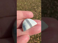 Owyhee Blue Opal Cabochon #48