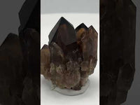 Natural Citrine Cathedral Crystal Kundalini Lightbrary, Congo #8