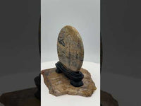 Natural Picture Jasper Slab with Stand #5