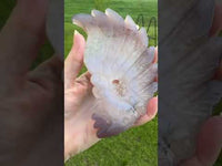 Druzy Agate Geode Carved Native American #9