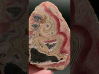 Rhodochrosite Slab #9 – Pink Banded Bullseye Orb – Polished Collector Specimen