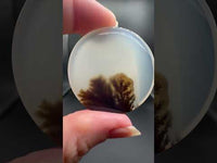 Designer Dendritic Agate Cabochon #7