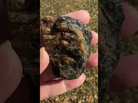 Raw Amber Specimen #13