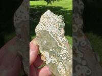 8th Vein Ocean Jasper Slab #90