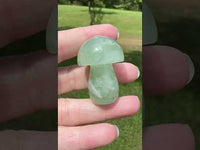 Colorful Fluorite Mushroom Carving #4