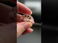 Scenic Dendritic Agate Cabochon #5