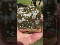 Ocean Jasper Free-form #1