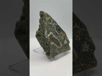 8th Vein Ocean Jasper Slab #6