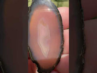 Agate Slice #31
