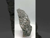 8th Vein Ocean Jasper Slab #16