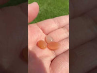Peach Moonstone 13x8mm Oval